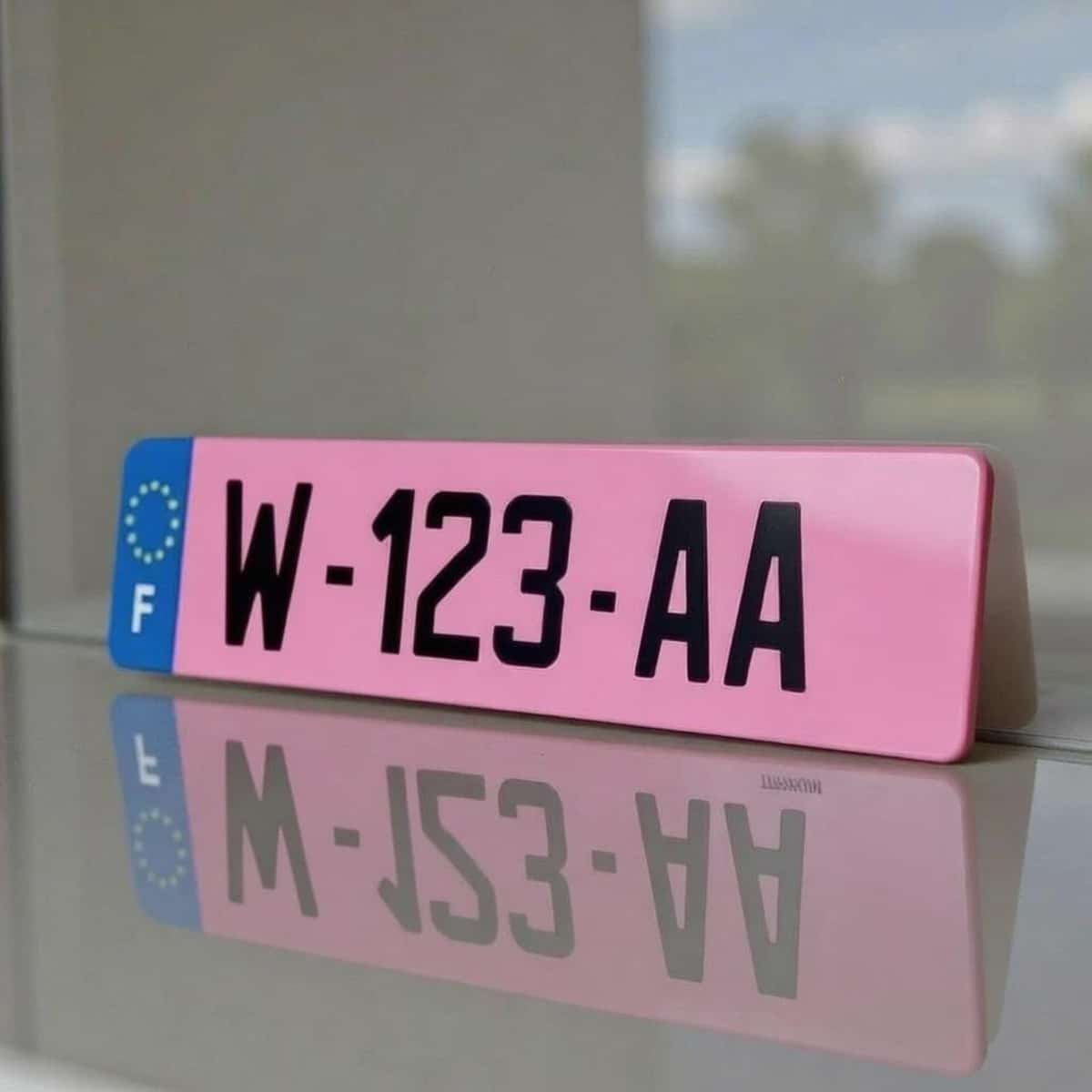 Plaque d’immatriculation homologuée